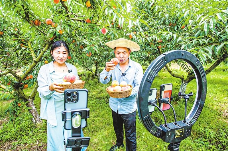 如何在网上开店？一个新手的入门指南